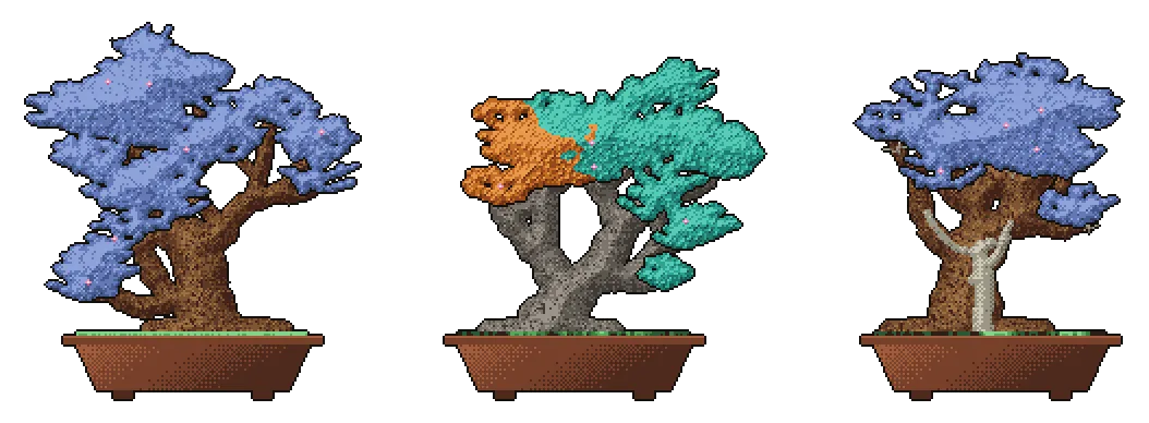 Three Hall of Fame bonsai: the slanting pine of Linus Torvalds, the maple of Guido van Rossum, and the formal upright pine of Salvatore Sanfilippo with a shari scar