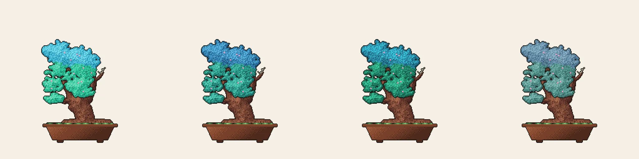 The same bonsai across spring, summer, autumn and winter