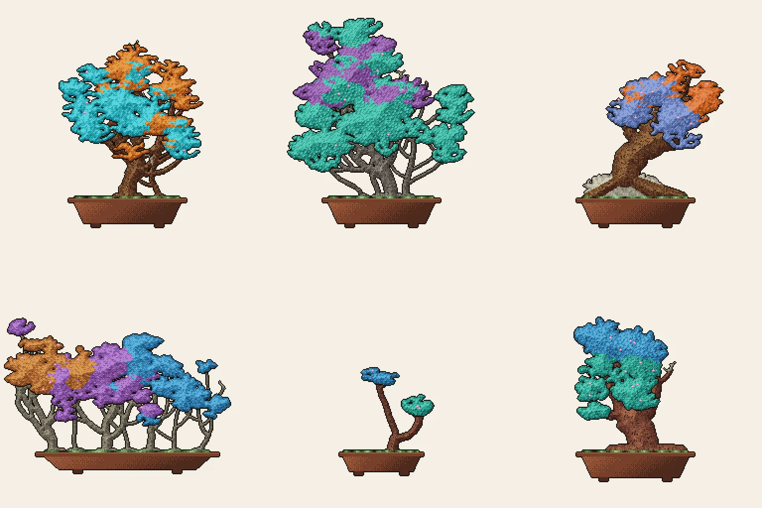 Twin-trunk, clump, root-over-rock and forest bonsai styles, plus small and large pot size classes