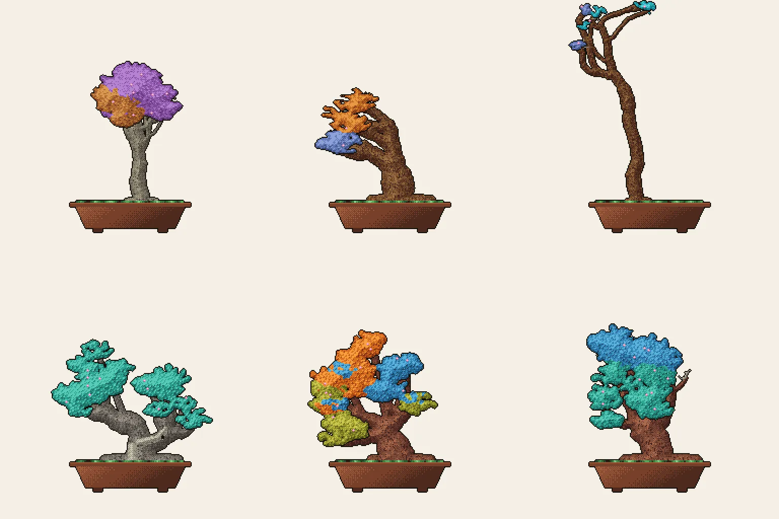 Six trees showing different earned bonsai styles and species, including deadwood scars